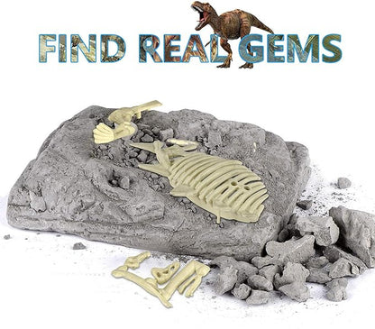 Dinosaur Dig Kit for Kids - Dinosaur Fossil Dig ExcaDinosaur Dig Kit for Kids - Dinosaur Fossil Dig Excavation Kit, Dinosaur Fossils T-Rex- Perfect Education Dinosaur DIY Toys Gift for Boys and Girls